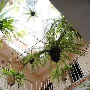 Cordoba セビリア